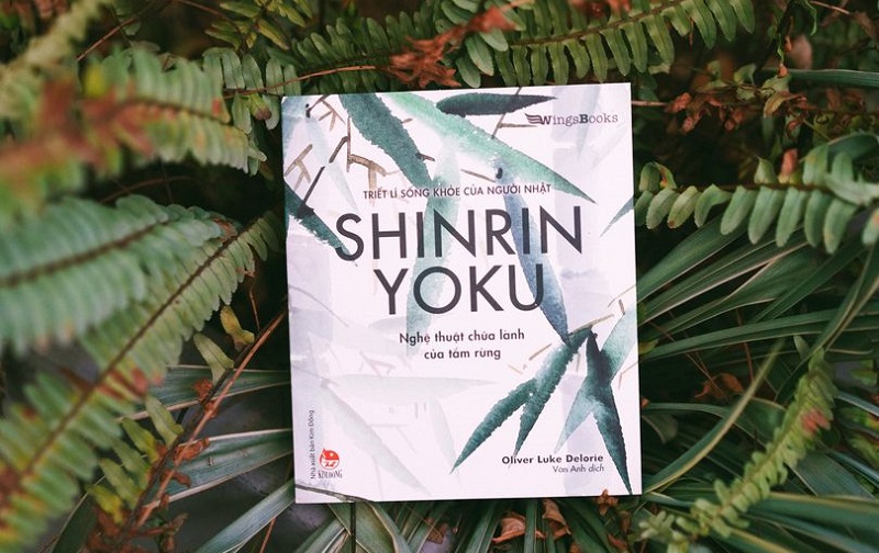 Review sách Shinrin Yoku - Nghệ Thuật Chữa Lành Của Tắm Rừng
