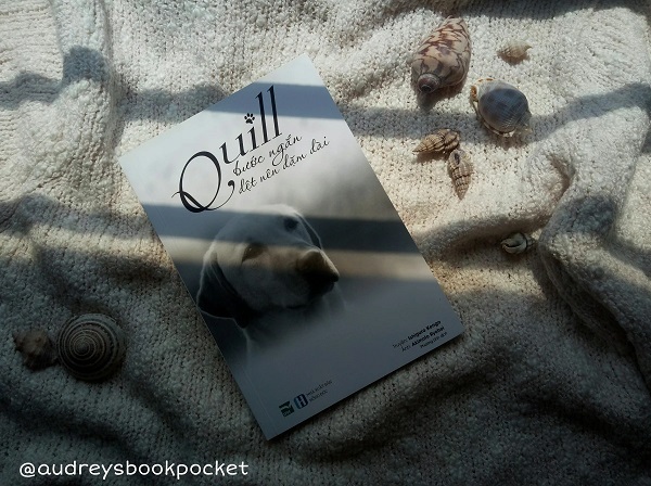 Review sách Quill - Bước Ngắn Dệt Nên Dặm Dài